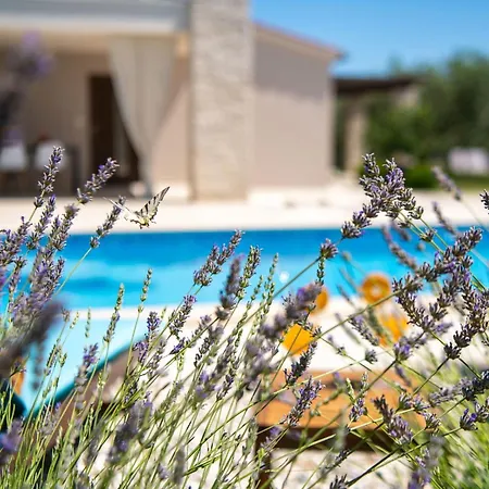 Ferienhaus Silentio - Ruhe Und Privatsphaere In Mediterraner In Strandnaehe By Interhome Marčana
